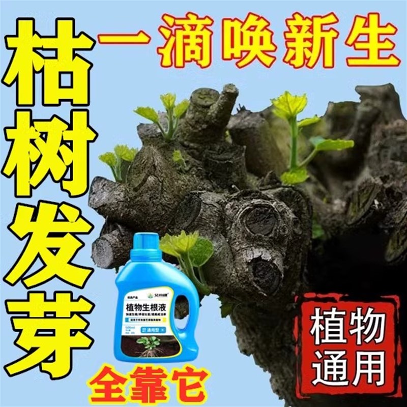 大树成活营养液死树复活灵生根液果树小苗枯树烂根烂苗根腐专用液