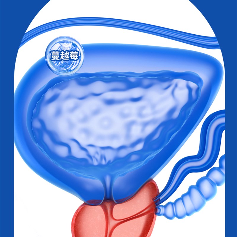 憨斗猫粮干粮日粮冻干喷涂增肥发腮助消化泌尿增强免疫力成猫幼猫