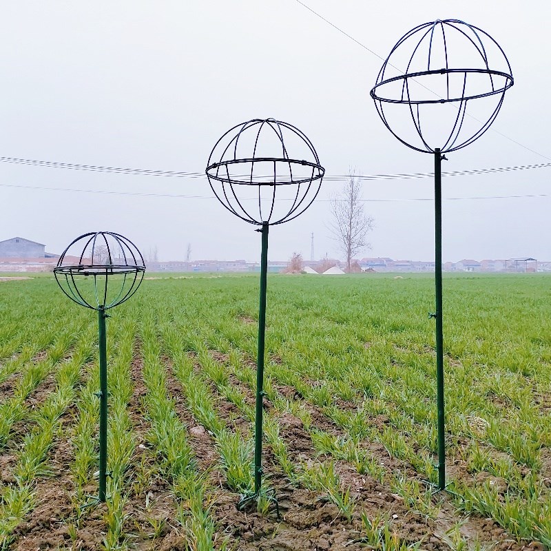 蓝雪花棒棒糖爬藤架月季风车茉莉花架子户外铁线莲球形攀爬花支架