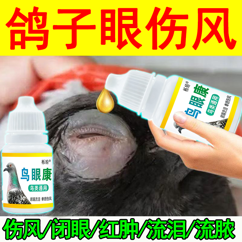 鸽子单眼伤风眼流泪肿胀闭眼流泪信鸽赛鸽幼鸽专用滴眼液