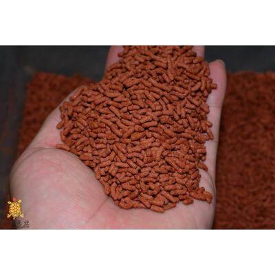 发色饲料龟粮/窄桥/墨西哥/果核/小青/斑纹/白唇/头盔/红面/蛋龟/