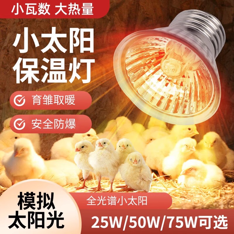 芦丁鸡保温灯小鸡育雏取暖灯宠物爬宠乌龟晒背太阳灯鹦鹉保暖灯泡