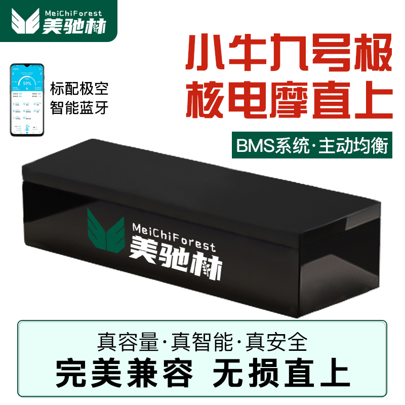 宁德电动车锂电池两三轮48V60V72V外卖快递磷酸铁锂三元锂蓝牙板