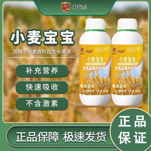 小麦扎根粒粒饱专用生根壮苗返青膨大增产高抗倒伏籽粒饱满叶面肥