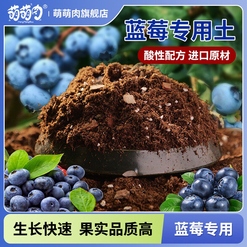 蓝莓专用土酸性配方土壤盆栽泥炭土疏松透气有机营养土花泥介质