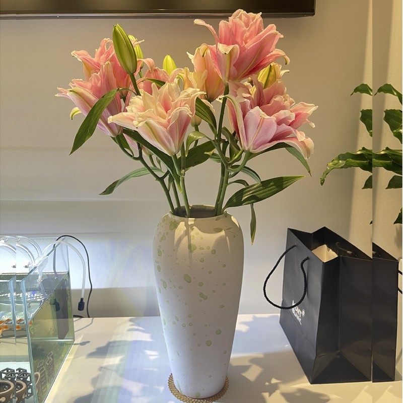 景德镇北欧陶瓷花瓶水养富贵竹百合客厅干鲜花插花瓶家居装饰摆件,鲜花速递/花卉仿真/绿植园艺,花瓶,淘宝优惠券,粉丝福利购,淘宝优惠卷