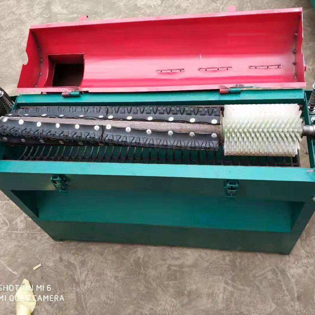青核桃剥皮机山核桃去皮机全自动小型核桃剥皮清洗一体机