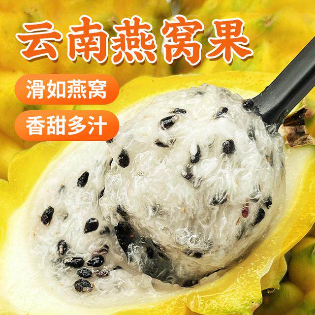 顺丰包邮云南正宗燕窝果新鲜采摘1/2/4斤礼盒