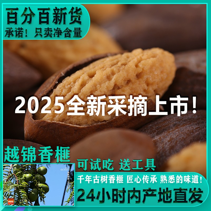 2025新货香榧新鲜现炒精品老树香榧嵊州特产产地直发坚果干果零食
