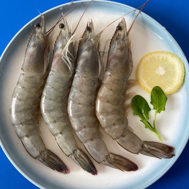 《直播》30-40规格海洋大虾3.5斤左右50-70只鲜活速冻日照顺丰发