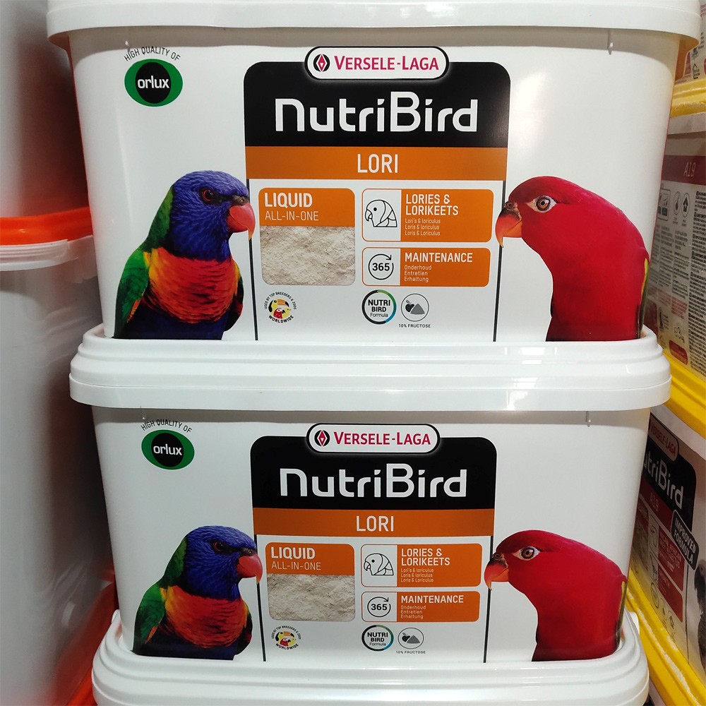比利时凡赛尔吸蜜粉Lori原装进口紫腹红伶黄兜喋喋彩虹主食饲料