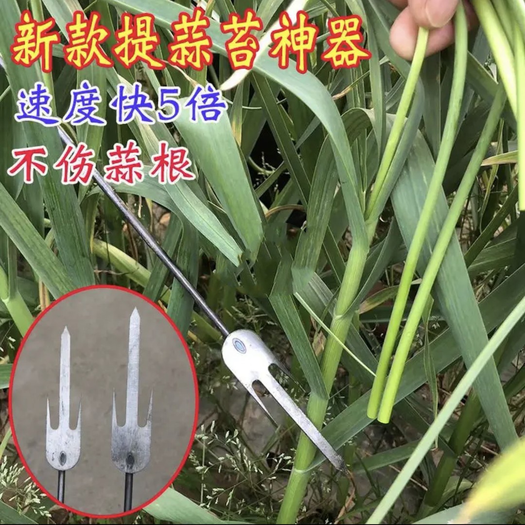 新款大蒜抽薹神器蒜苔划刀快速拔剃蒜薹揪蒜薹神器