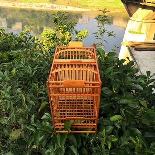 凯里黄豆鸟笼黄腾鸟笼攻笼比赛笼公平笼养笼一格两格全套小鸟