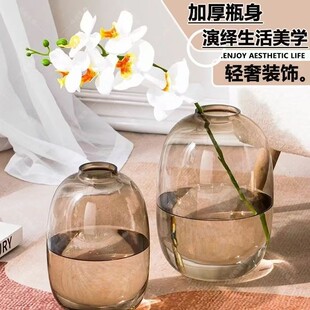 雪柳美男树龟背竹马醉木鲜花专用小口大肚玻璃插花专用高级水培器