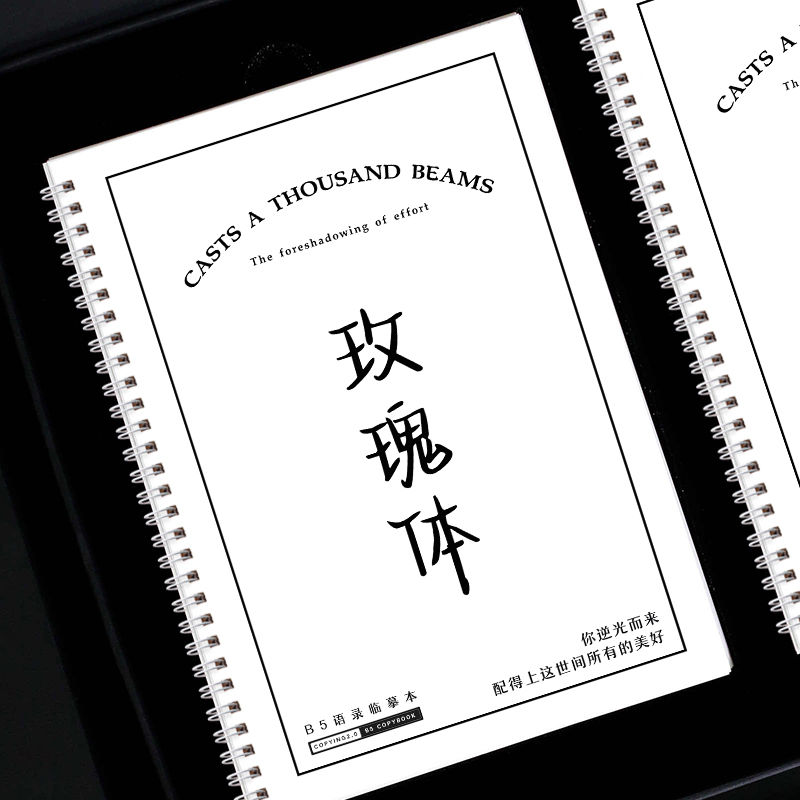 玫瑰体练字帖作文素材开头结尾小说语录人民日报金句文案临摹本