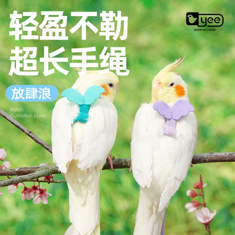 yee鸟用鹦鹉放飞绳玄凤虎皮牡丹牵引绳飞行外出背带遛鸟神器玩具