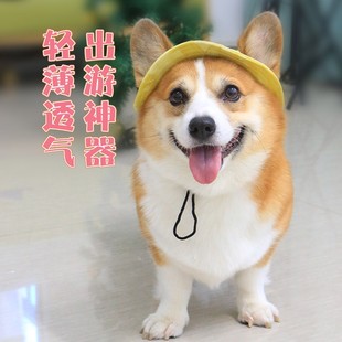 饰拍照用品夏季 宠物帽子露耳可爱装 遮阳帽柯基网红夏天