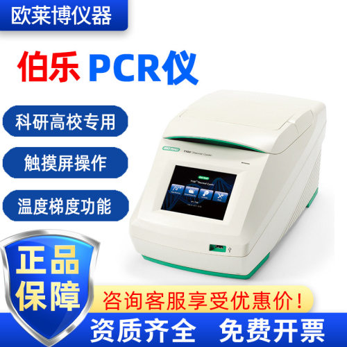 BIORAD美国 伯乐T100  触摸屏 科研高校 核酸检测仪 梯度 PCR仪