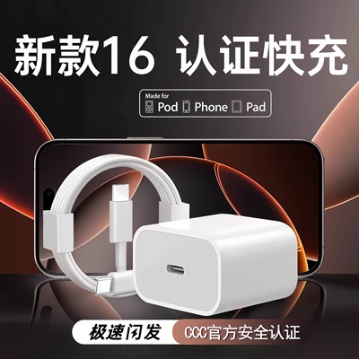 坦吉尼专用于苹果原装60W充电器