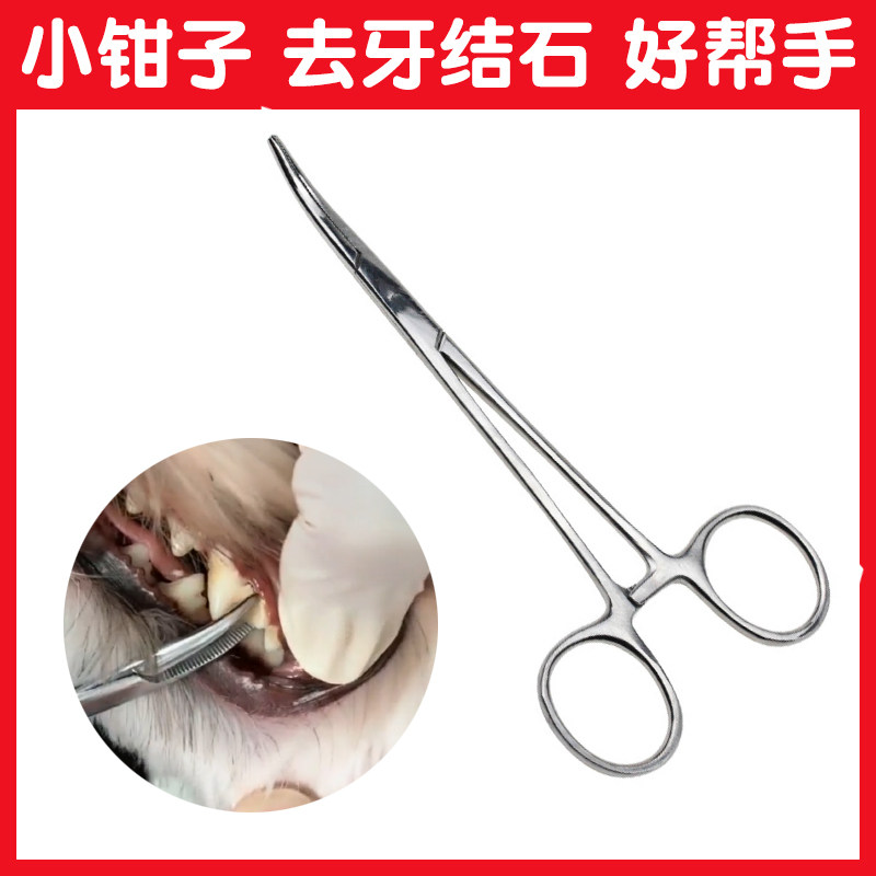 狗狗去牙结石工具除牙齿牙垢清洁钳子止血钳搭配宠物超音波洗牙器