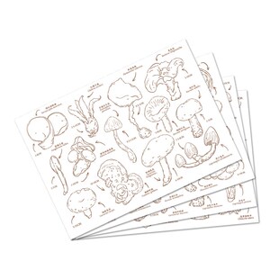 百科全书水彩线稿本涂色纸宝虹300g棉浆钢笔淡彩填色纸新手线稿