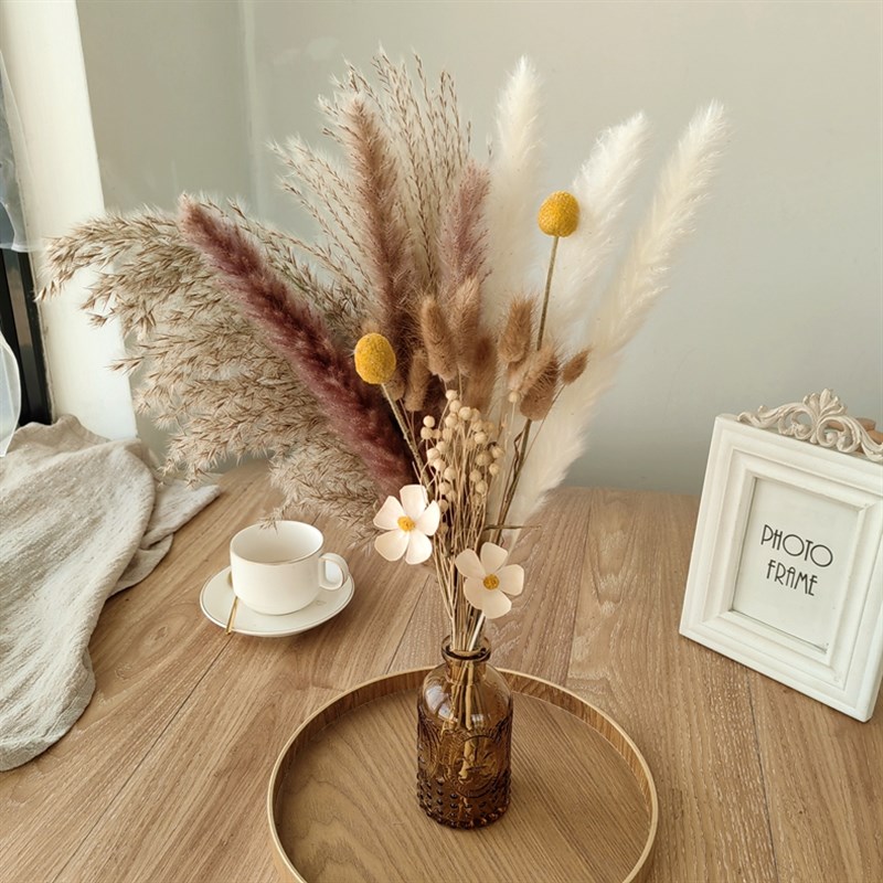 文艺天然真芦苇干花束家居民宿软装桌面茶几客厅花艺摆件拍照道具