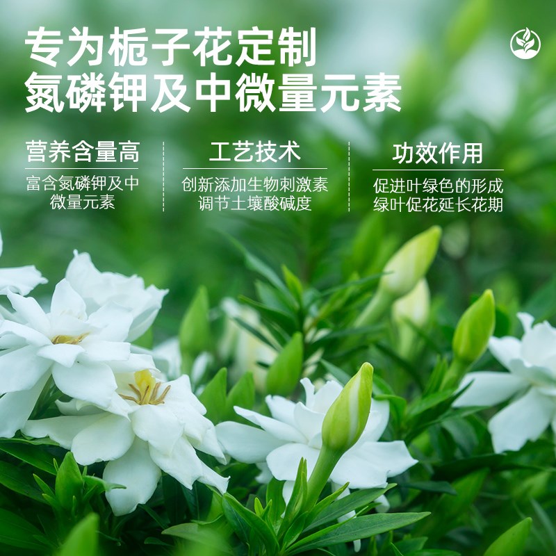 栀子花专用肥料营养液盆栽栀枝花喜酸性绿植物通用型促开花家用肥