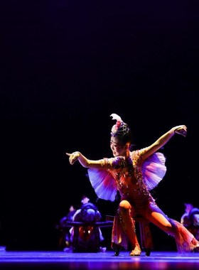 第十二届小荷风采鲤鱼跃龙门演出服舞蹈元旦表演服幼儿园演出服