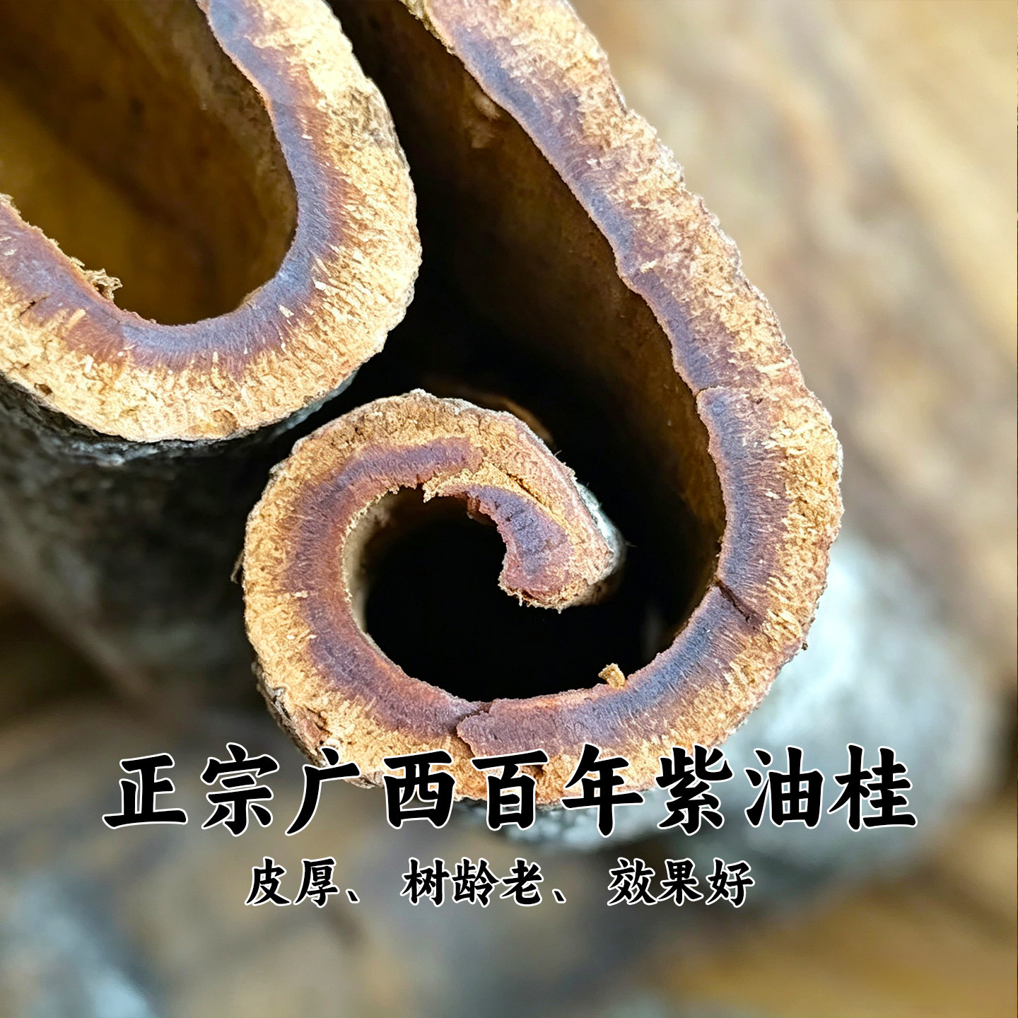 广西百年紫油桂皮香料干货