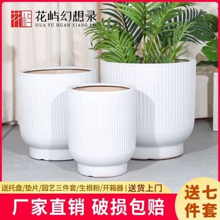 纯白色陶瓷大花盆口径30以上龙血树发财树种树绿植家用客厅阳台盆
