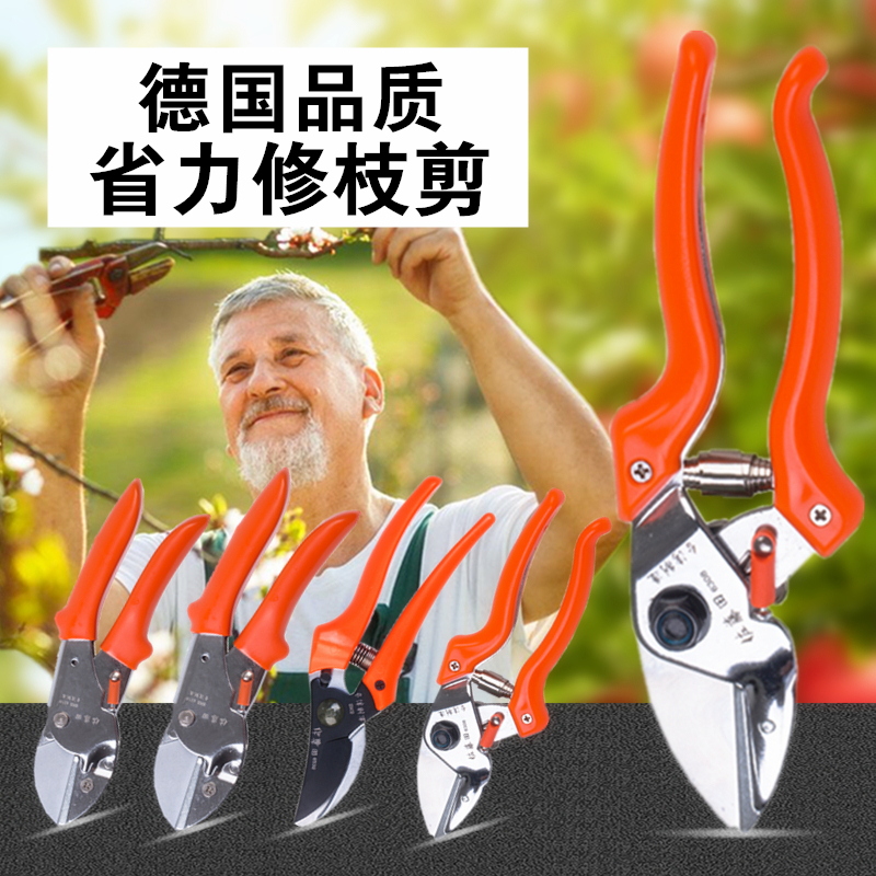 果树省力修枝剪刀园艺剪刀粗枝修枝剪花木园林剪枝剪刀树枝果树剪
