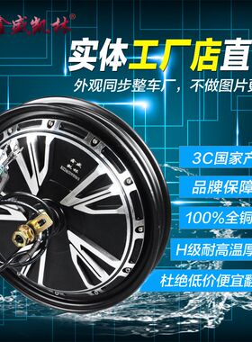 电动车16寸满盘10寸电摩电机1000W1200W碟刹60V72VW轮毂大功率升