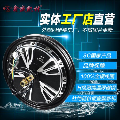 电动车16寸满盘10寸电摩电机1000W1200W碟刹60V72VW轮毂大功率升