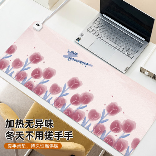 加热鼠标垫超大学生学习暖桌垫多o档调节高颜值办公桌垫笔记本电
