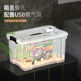 鱼箱循环N过滤增氧活鱼桶钓鱼 鱼缸客厅小型养鱼箱家用塑料透明装