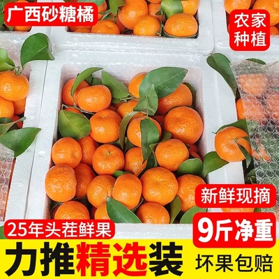 正宗广西砂糖橘现摘新鲜金秋沙糖桔当季水果香甜多汁砂糖蜜橘整箱