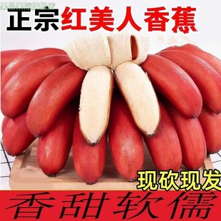 福建红美人香蕉整箱5斤应季新鲜水果香甜土楼红皮banana水果L