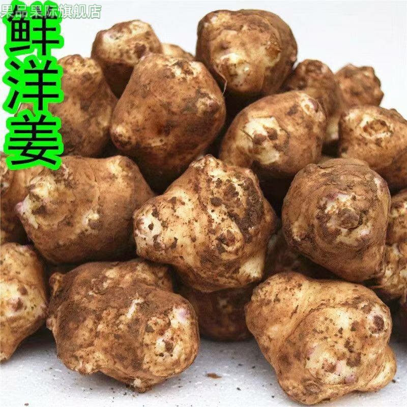 新鲜现挖洋姜野鬼子姜不辣农家做酱菜腌菜泡菜甜阳菊芋洋姜种籽