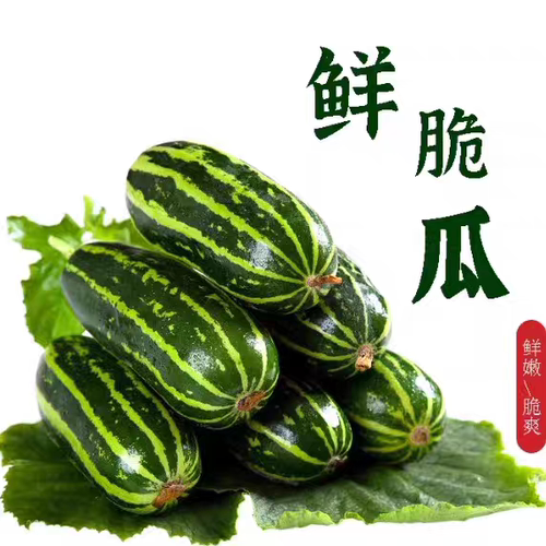 新鲜青龙菜瓜脆瓜现发特产直销生吃无糖烧瓜花皮脆非玉女甜瓜