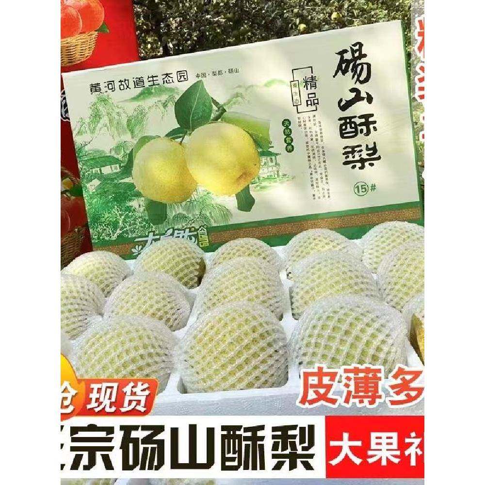 【现货】现摘正宗酥梨10斤精品水果新鲜汤山雪梨子礼盒装