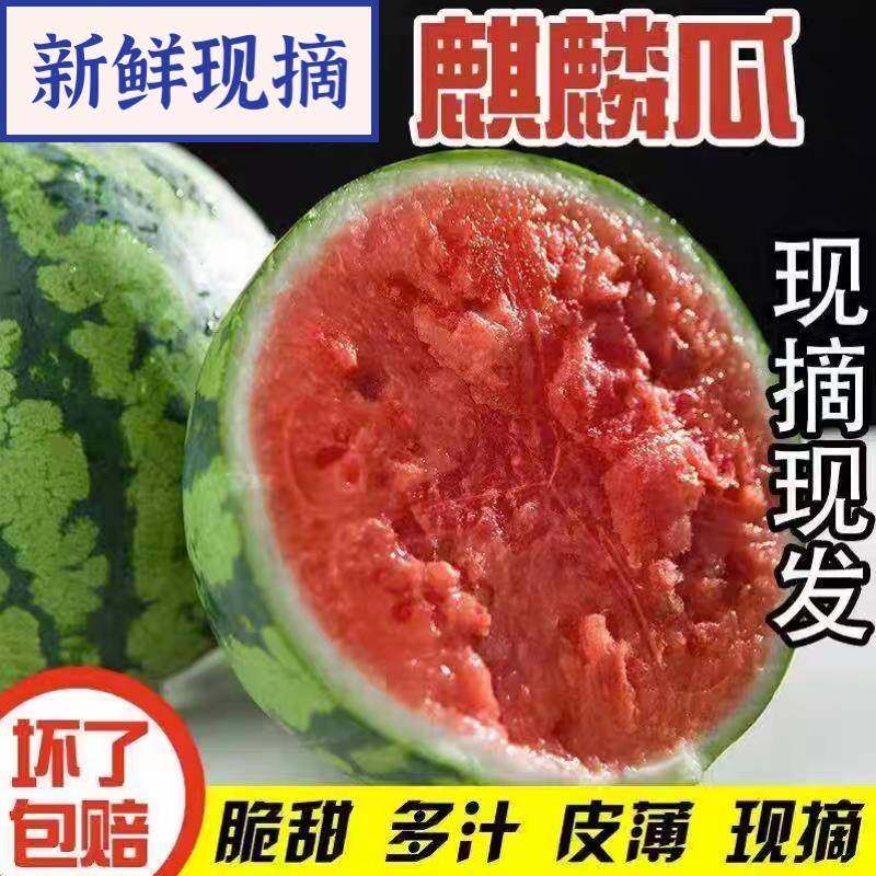 海南麒麟西瓜南汇三亚新鲜当季孕妇水果整箱脆甜西瓜现摘水果西瓜,水产肉类/新鲜蔬果/熟食,西瓜,淘宝优惠券,粉丝福利购,淘宝优惠卷