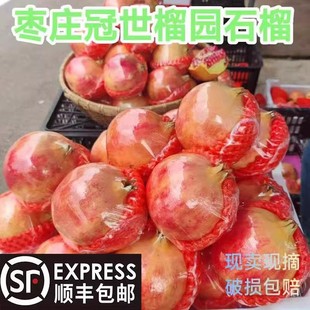 黑籽石榴半口酸甜特酸纯酸石榴泡酒 包邮 枣庄特产当季 孕妇水果新鲜