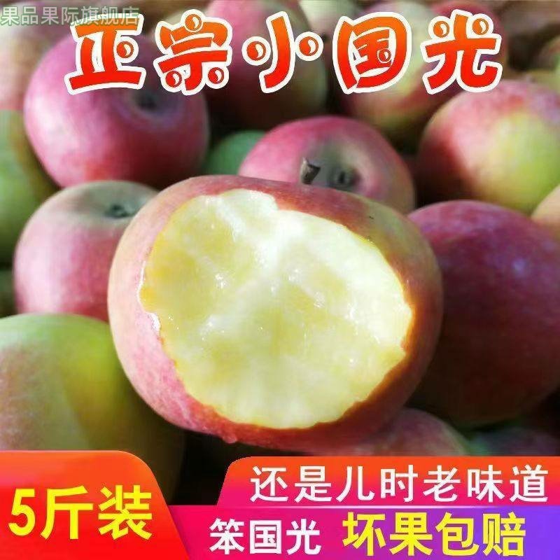新鲜国光苹果5斤产地瓦房店不套袋不打蜡包邮酸甜笨国光图片