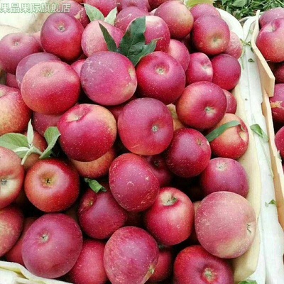 新鲜冰糖心樱桃小苹果蒙自野生苹果冰糖心新鲜当季原生态孕妇水果