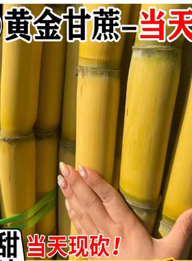 广西黄金甘蔗新鲜整根青皮水果应当季整箱脆甜杆糖庶10斤包邮