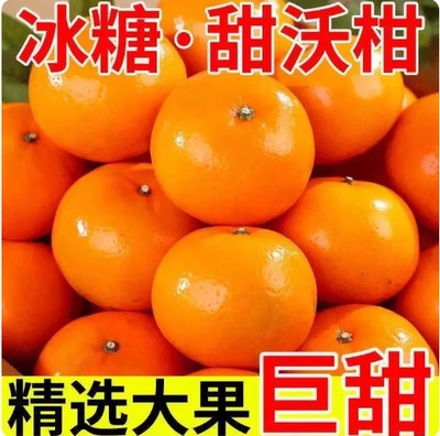 2026新鲜纯甜沃柑9斤橘子新鲜水果当季整箱沙糖蜜桔柑橘桔子直发