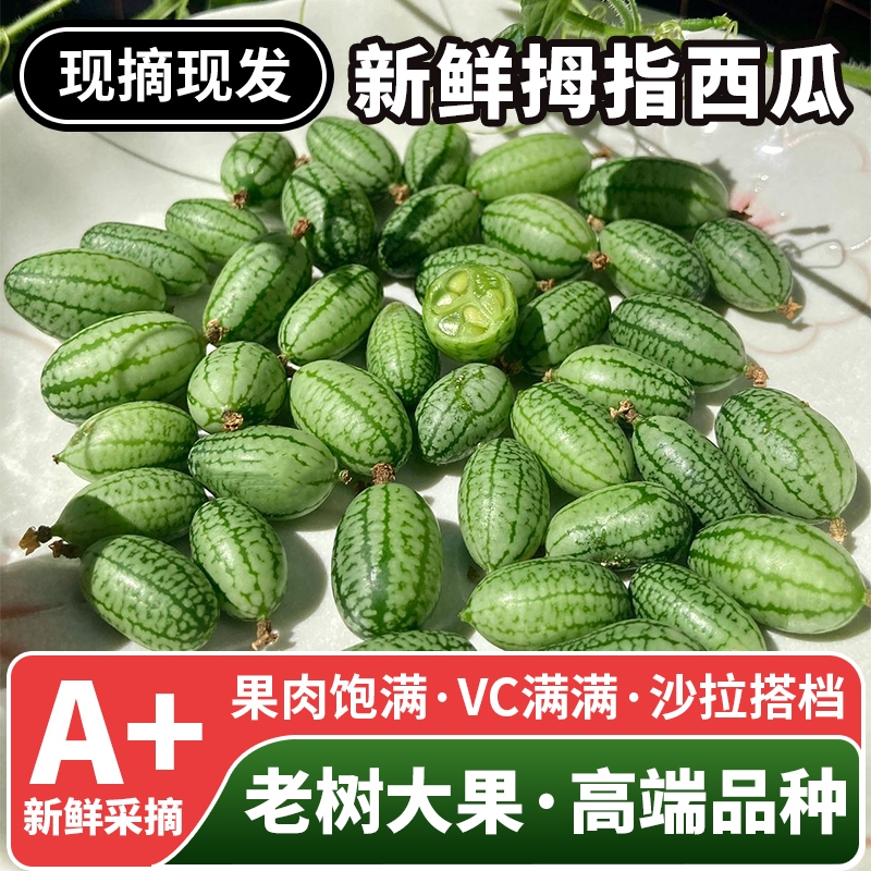 拇指西瓜鲜果迷你网红小西瓜特色水果新鲜孕妇水果稀奇品种