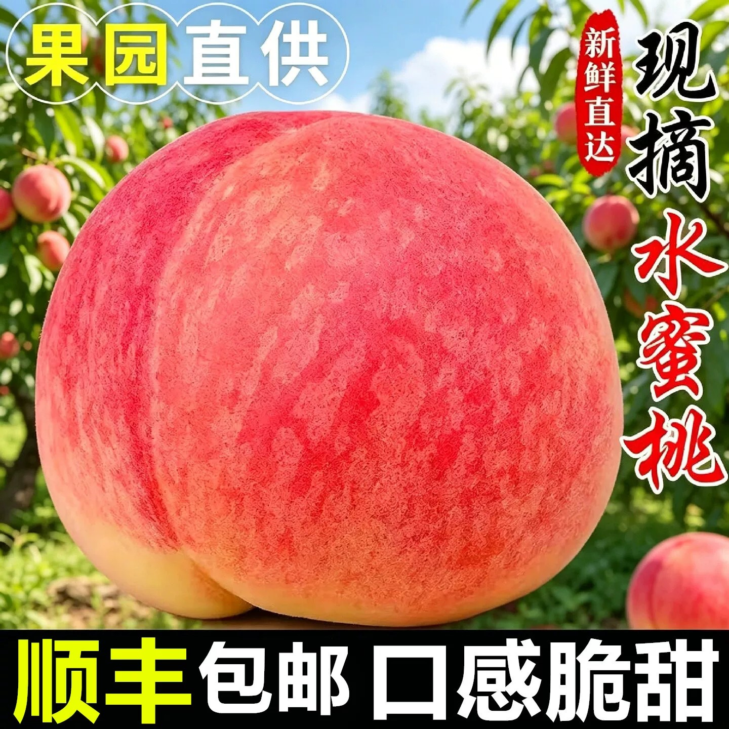 现货现摘春雪水蜜桃甜脆桃毛桃当季时令整箱孕妇桃子新鲜水果