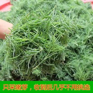 新鲜冷冻整颗黄须菜盐蓬菜咸蓬菜黄西菜盐碱地特产饺子混沌包子馅