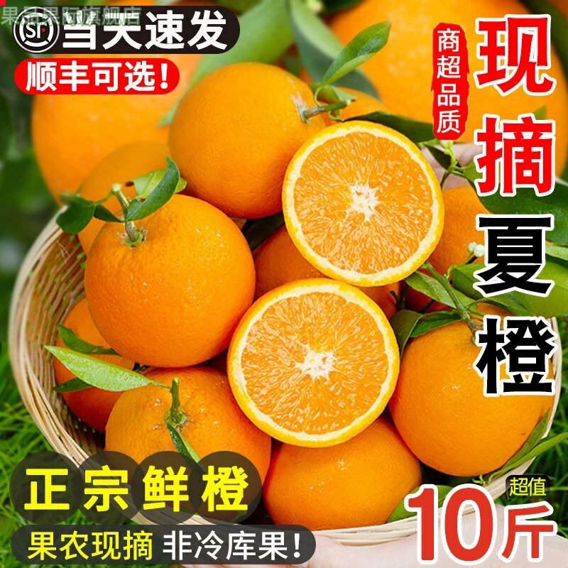 橙子广西桂林夏橙孕妇酸甜水果新鲜当季应季水果手剥榨汁整箱9斤